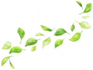 360_F_500679318_ujkHpemrDNmChxBDKp3sOrT0QO62Jsnf